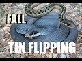 Fall Herping and TIN FLIPPING for SNAKES!