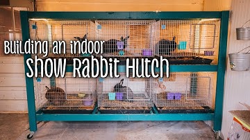 Building a Show Rabbit Hutch (silver fox and creme d