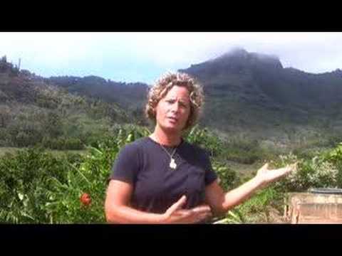 Goddess Mystery School Forming in Kaua'i Spring 2oo8