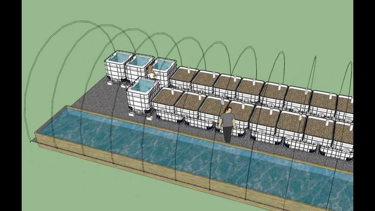3d aquaponics greenhouse model advanced symbiotics - youtube