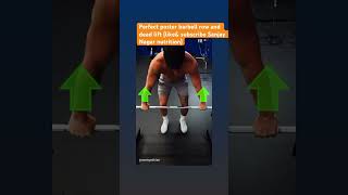 Barbell row viral bodybuilding gym fitness workoutlike ytshorts size shortmuscle gain