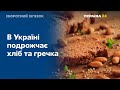В Україні зміняться ціни на хліб та гречку