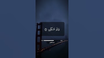 بصوت هادئ وجميل  | سورة الواقعة آية 27 - 33 | بدر التركي