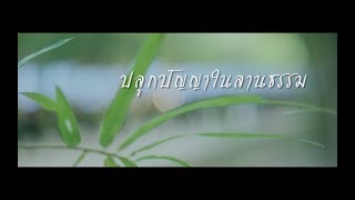 ปลูกปัญญาในลานธรรม