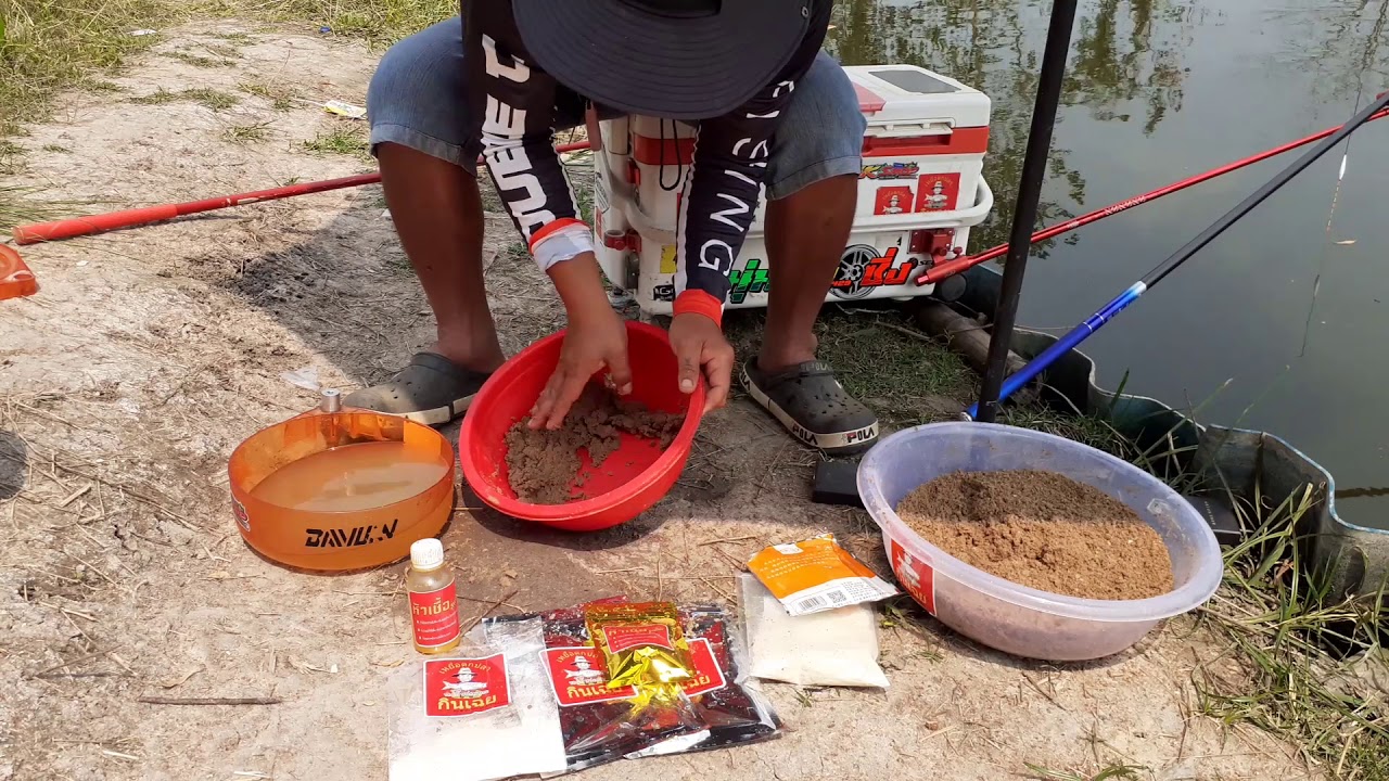 #ชิงหลิว ผสมเหยื่อนวดนิ่ม ตกปลานิล กินดีมาก