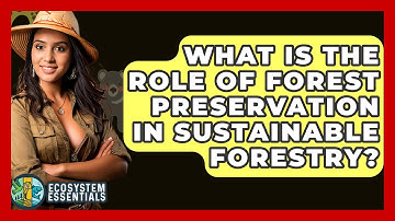 What Is the Role of Forest Preservation in Sustainable Forestry? - Ecosystem Essentials