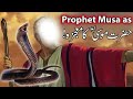 Hazrat Musa as Ka Mojza | Prophet Moosa Firon Waqia | Moses Story | Qasas ul Anbiya Mehrban Ali Nabi Mp3 Song