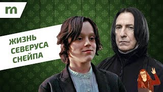 🐍 История Принца-полукровки: жизнь Северуса Снейпа ✨💚