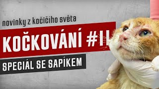 KOČKOVÁNÍ #11 - Speciál se Sapíkem by Kočkování 132 views 7 months ago 1 hour, 25 minutes