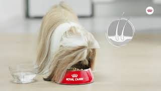 ROYAL CANIN® COAT CARE