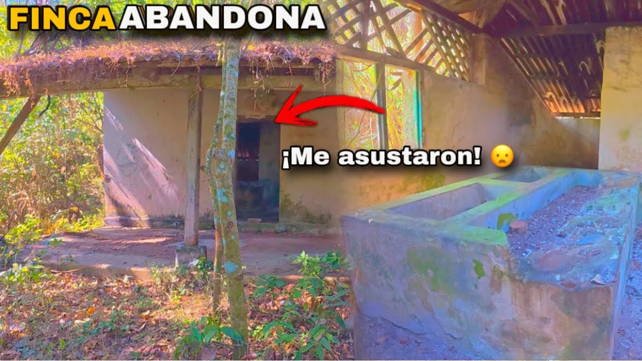 Entré a una finca abandonada y NO estaba solo…