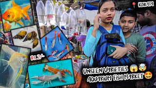 Fish Market | Galiff Street Fish Market Kolkata | Cheap Price | Recent Aquarium Fish Price Update