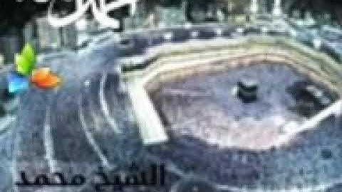سورة الصافات، الشيخ محمد المحيسني