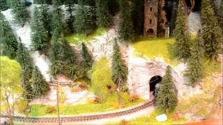 HOe shadow Box Layout  Te Awamutu Show 01 05 2016