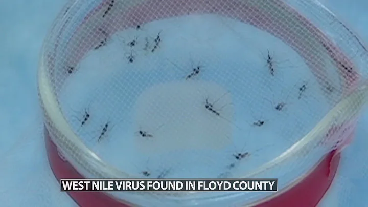 West Nile Virus found in Floyd County, Indiana
