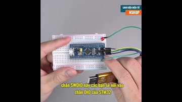 Mạch Nạp STM8 STM32 ST-Link V2 (YFCN)#Shorts