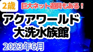 【休日】アクアワールド大洗水族館に家族でおでかけ【２歳】 screenshot 3