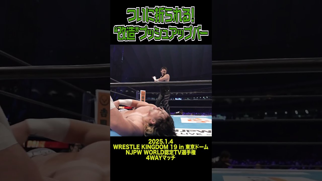 新日本プロレスリング プッシュアップバー 新品 未使用 新日本プロレス プッシュアップバー [新日本プロレスリング
