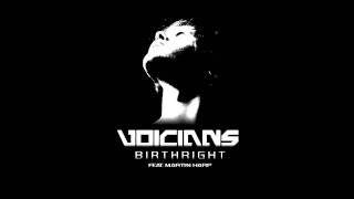 Voicians - Birthright feat. Martin Harp (Celldweller Cover)