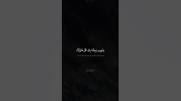 فَكَيْفَ إِذَا جِئْنَا مِن كُلِّ أُمَّةٍۭ بِشَهِيدٍۢ| القارئ الشيخ كامل يوسف البهتيمي | سورة النساء