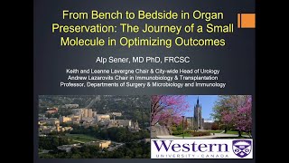 From Bench to Bedside in Organ Preservation: The Journey of a Small Molecule