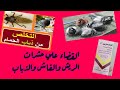 القضاء على حشرات الحمام الفاش والسوس والذباب القضاء على حشرات الحمام الفاش والسوس والذباب
