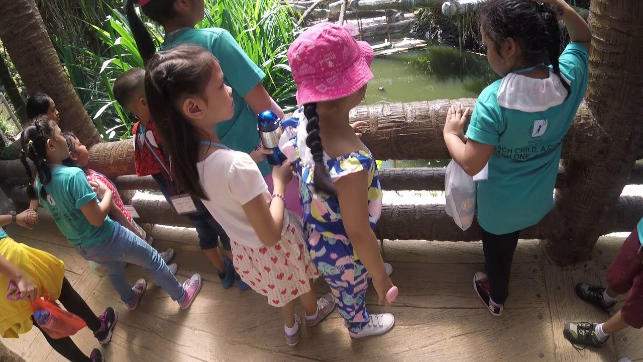 Dark Zoo into Montalban Avilon.