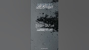 وإن الأخرة هي دار القرار | محمد صديق المنشاوي | سورة غافر
