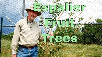 How to Espalier Fruit Trees