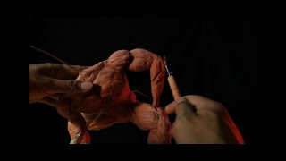 Timelapse Basic Anatomy Sculpting || Das Clay