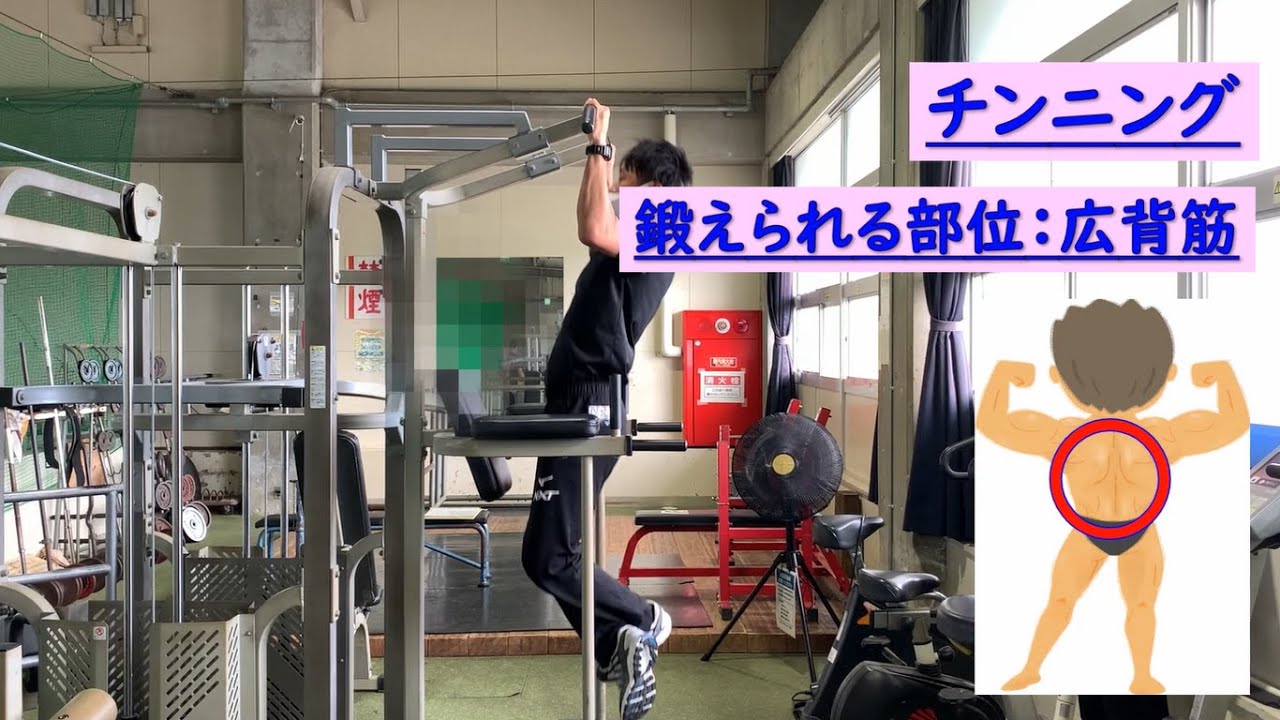 春江体育館トレーニングマシーンの使い方】 レッグレイズ・チン
