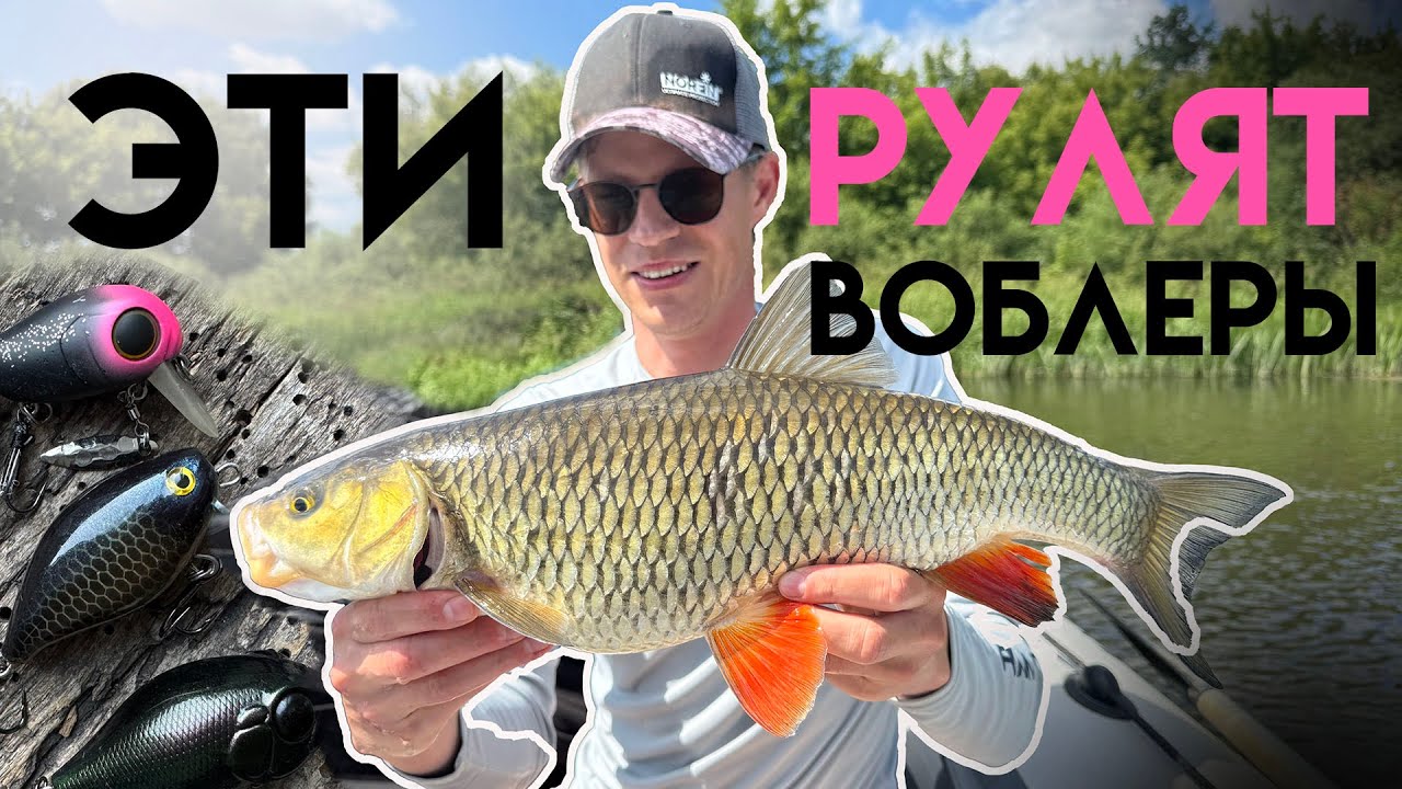 Сплав: эти ВОБЛЕРЫ лупят голавля! 4K