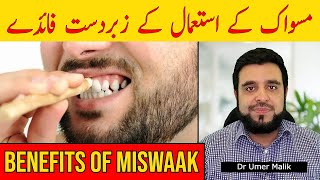Miswak Ke Faide, Miswak Ki Fazeelat, Benefits of Miswak, Miswak k Faidy, Miswak Ke Fawaid in Urdu