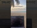 you look happieryes, my app made a sale today #programmer #techtok #codingtiktok #sidehustle #develo
