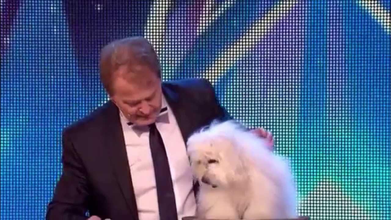 Marc Métral And His Talking Dog Wendy Marc métral and his talking dog Wendy - YouTube