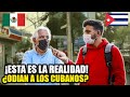 🔥😱¿QUÉ OPINAN LOS MEXICANOS 🇲🇽DE LOS CUBANOS 🇨🇺? ¿NOS ODIAN? 😭