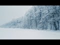 Bruit de la neige pour dormir  se dtendre  sons de tempte de neige dans la fort 