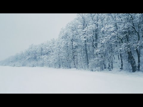 Vidéo: Les voyages routiers les plus fascinants du monde.