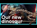 Dinosaur Discovery Quiz
