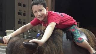 Touro Mecânico Dia Das Crianças