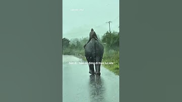 Ha ha trời mưa vô tình bắt gặp được anh bạn có cái mông to