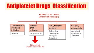 (45) Antiplatelet Drugs | Classification of Antiplatelet Drugs | AUDIO Classification of Drugs