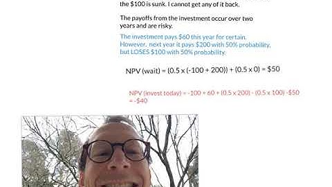 Covidenomics 5b Real options and investment