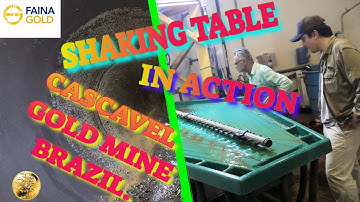 Gold mining news today,  Cascavel gold mine shaking table in action, lots of gold.