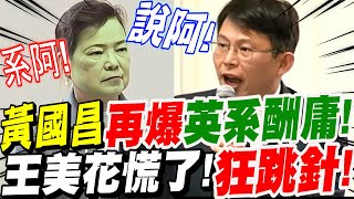 【全字幕】黃國昌再爆英系大酬庸！害國營事業慘賠XX億！王美花慌了！狂跳針！台糖綠能弊案！中信人頭帳戶案！立院質詢0313 by Bit King比特王出任務 327,023 views 1 month ago 14 minutes, 6 seconds