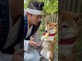 きびだんごをわんちゃんに取られてしまい、困ってしまう桃太郎😅