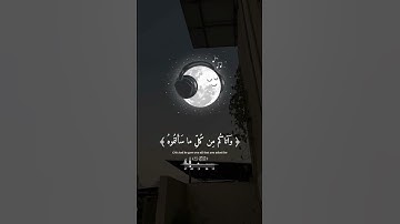 #قرآن #تلاوة_خاشعة #راحة_نفسية #اكسبلور #fyp #fypシ ##viral #السعودية#مصر