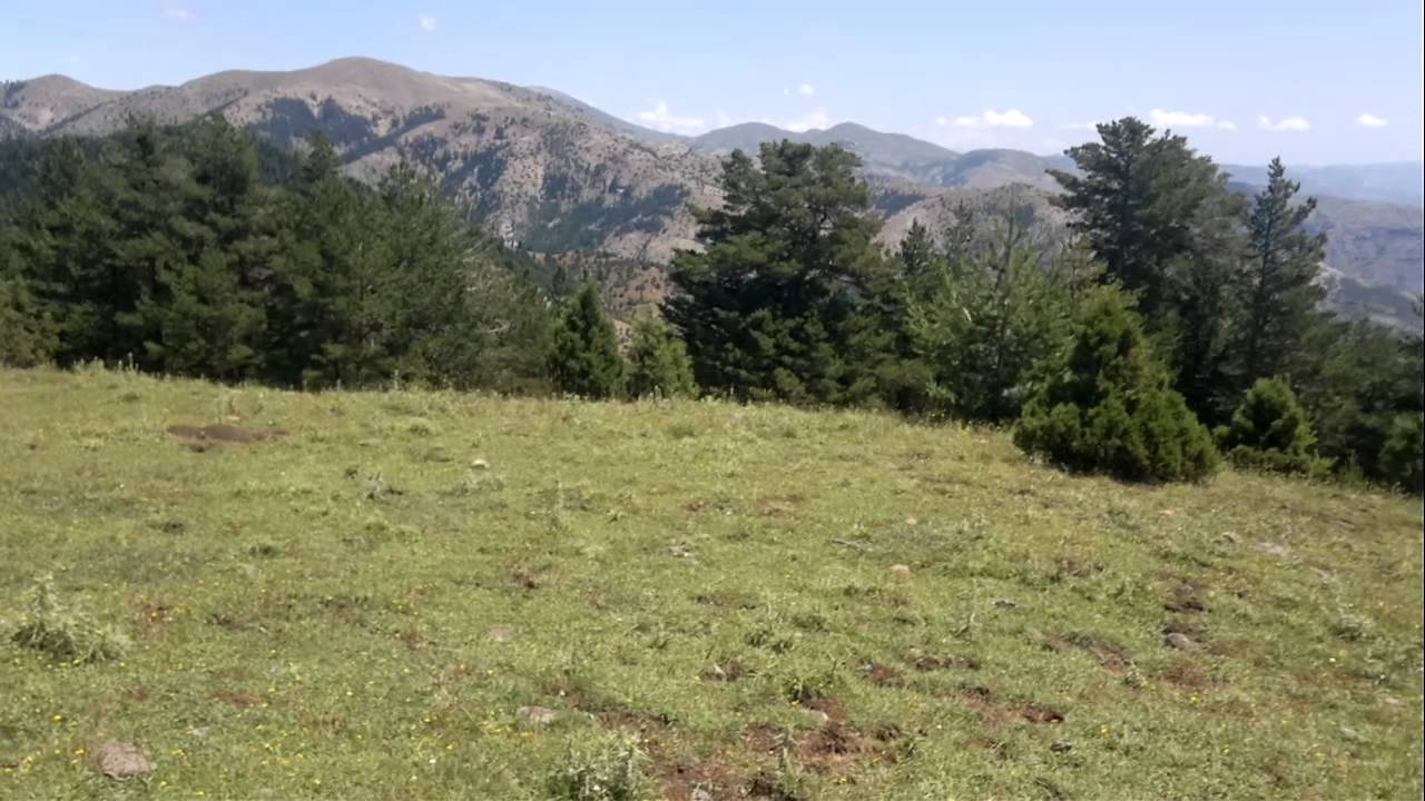 mamacan yaylası ziyaretine giderken Bizimkiler