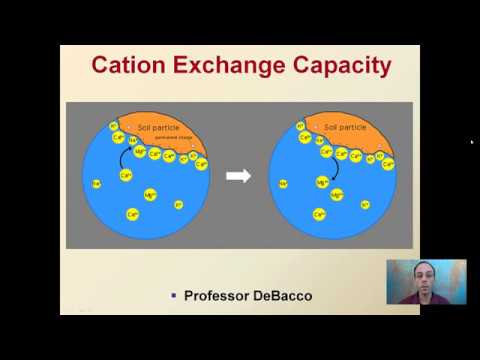 Cation Exchange Capacity - YouTube