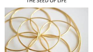 The Seed of Life